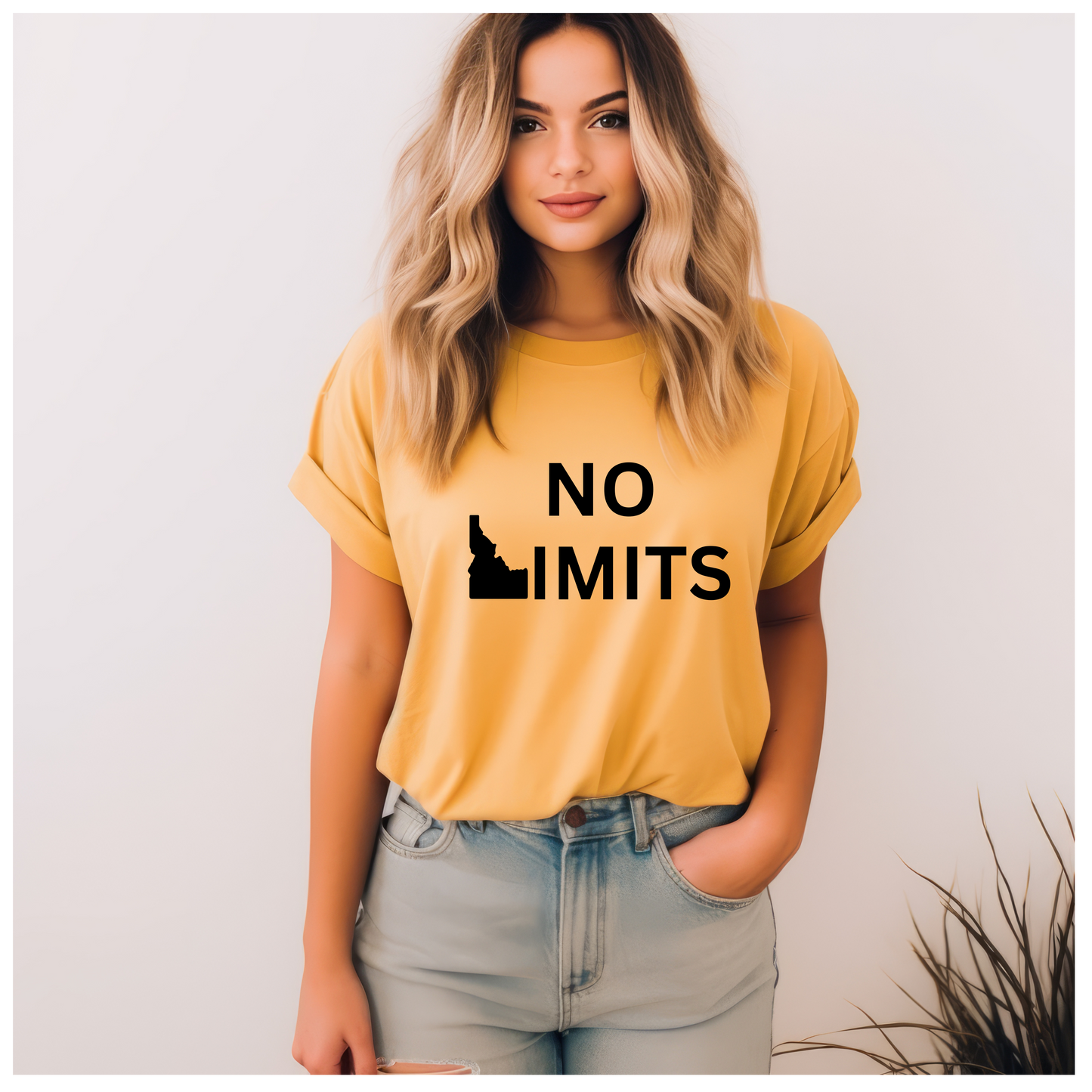 No Limits Idaho Tshirt